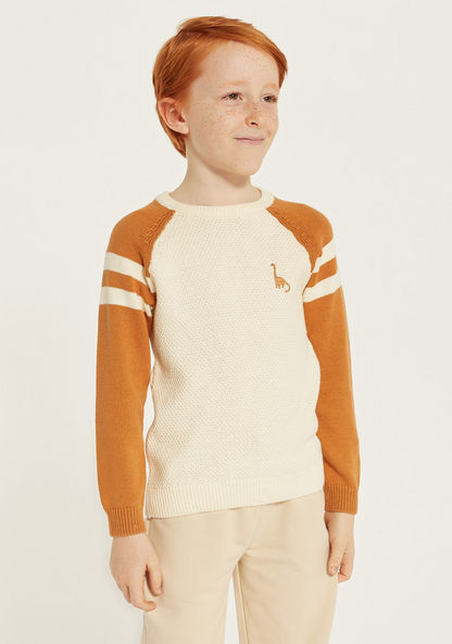 Juniors Textured Pullover with Crew Neck and Raglan Sleeves-Sweaters and Cardigans-image-1
