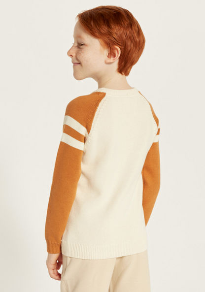 Juniors Textured Pullover with Crew Neck and Raglan Sleeves-Sweaters and Cardigans-image-3