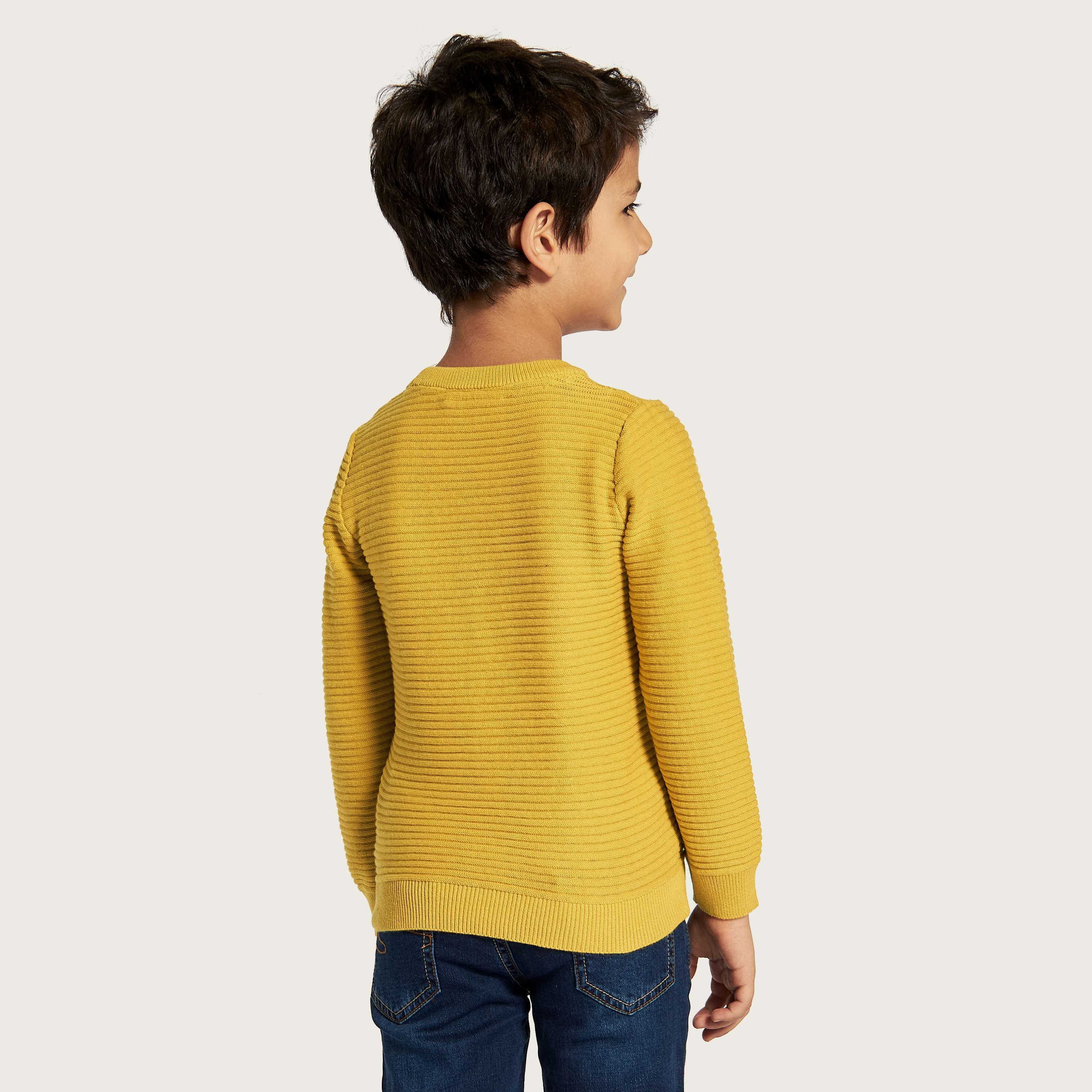 Juniors Textured Sweater with Crew Neck and Long Sleeves-baby-boys-clothing-winterwear-jumpersandcardigans-image-4