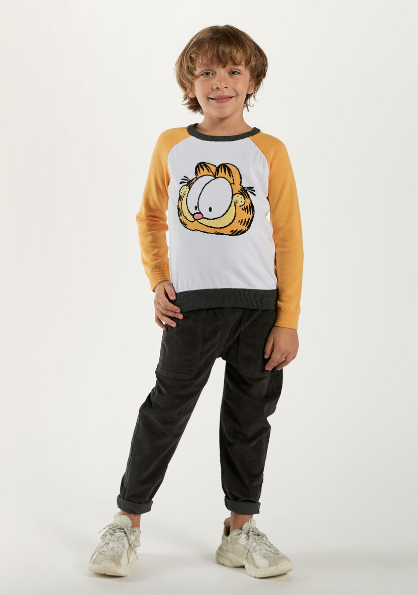 Garfield Detail Pullover with Crew Neck and Raglan Sleeves-Sweatshirts-image-0