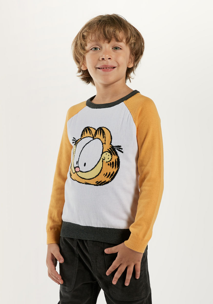 Garfield Detail Pullover with Crew Neck and Raglan Sleeves-Sweatshirts-image-1