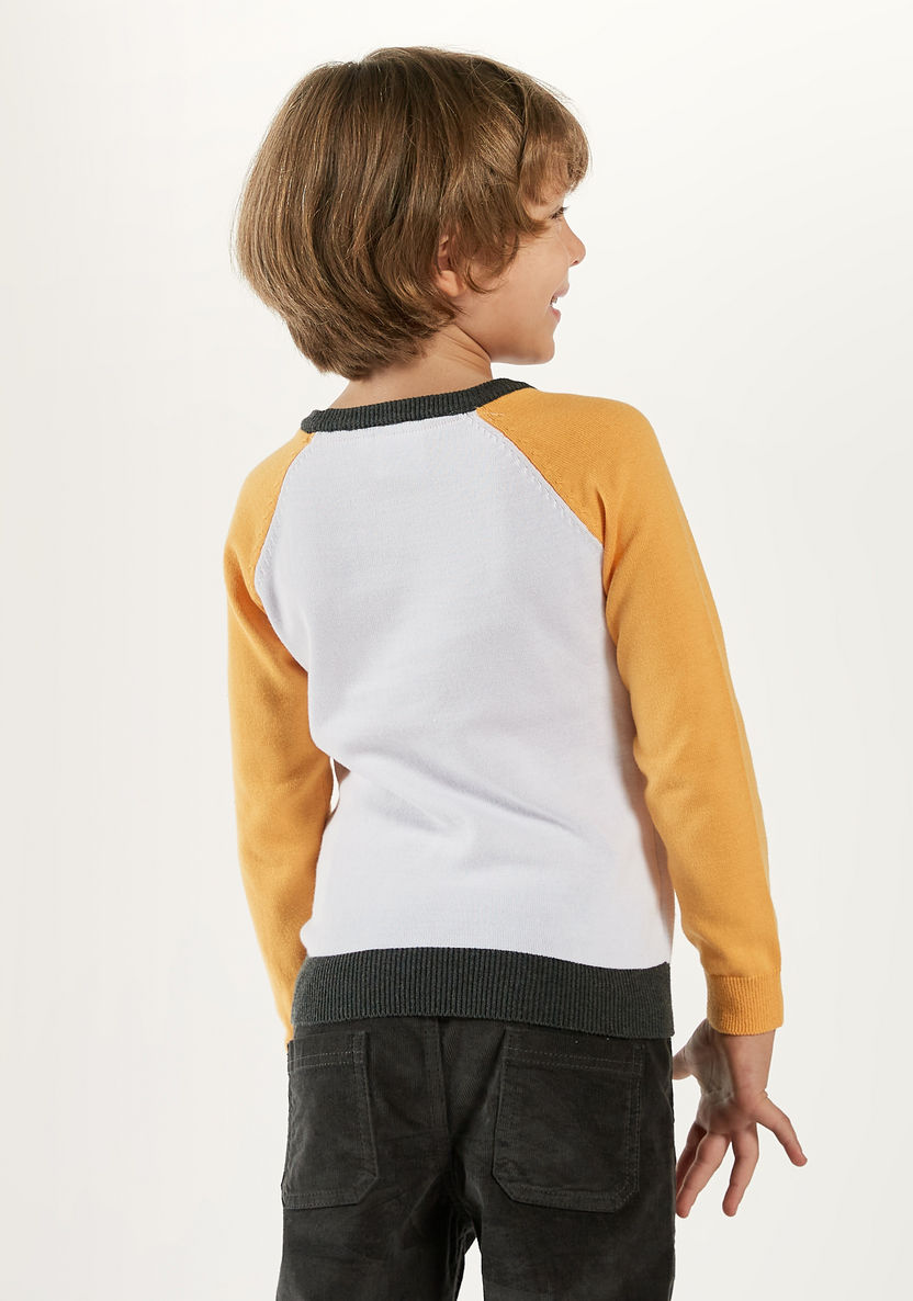 Garfield Detail Pullover with Crew Neck and Raglan Sleeves-Sweatshirts-image-3