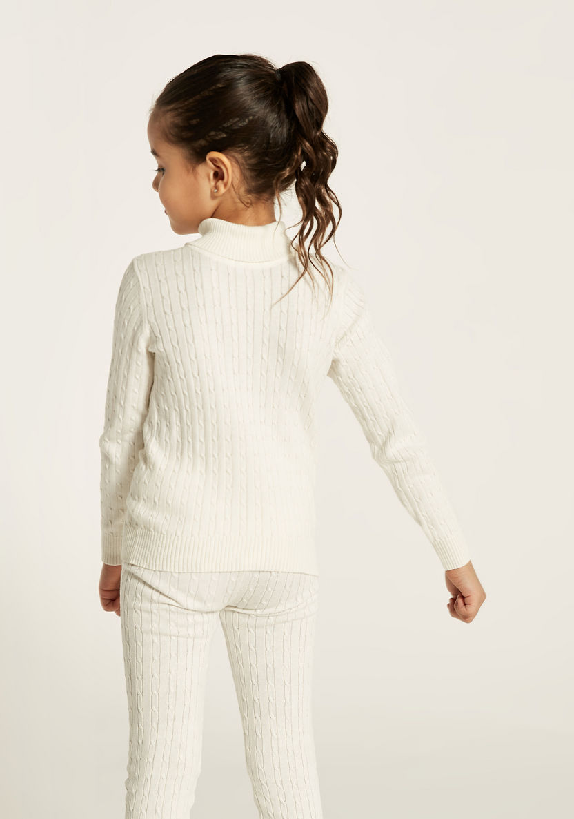 Juniors Textured Turtle Neck Sweater with Long Sleeves-Sweaters and Cardigans-image-4