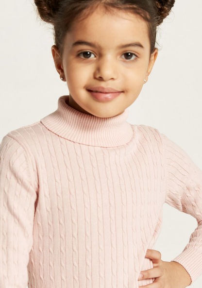 Juniors Textured Turtle Neck Sweater with Long Sleeves-Sweaters and Cardigans-image-3