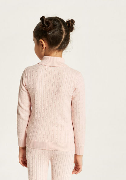 Juniors Textured Turtle Neck Sweater with Long Sleeves-Sweaters and Cardigans-image-4