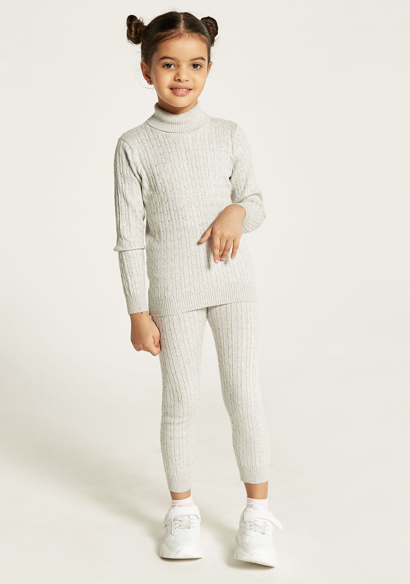 Juniors Textured Sweater with Turtle Neck and Long Sleeves-Sweaters and Cardigans-image-0