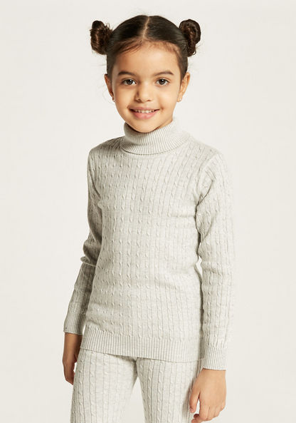 Juniors Textured Sweater with Turtle Neck and Long Sleeves