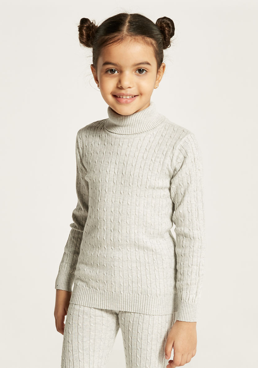 Juniors Textured Sweater with Turtle Neck and Long Sleeves-Sweaters and Cardigans-image-2