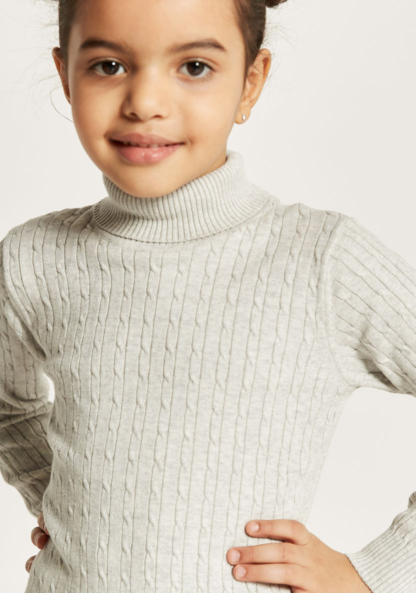 Juniors Textured Sweater with Turtle Neck and Long Sleeves-Sweaters and Cardigans-image-3