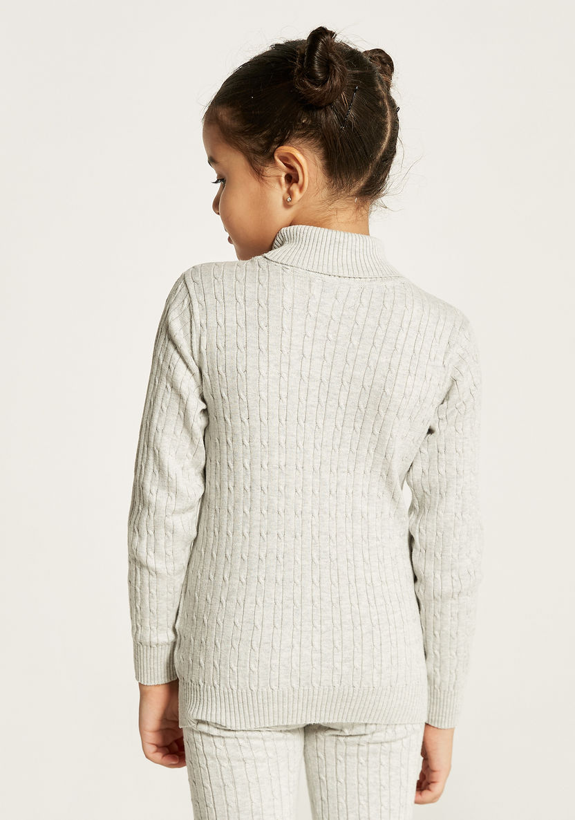 Juniors Textured Sweater with Turtle Neck and Long Sleeves-Sweaters and Cardigans-image-4
