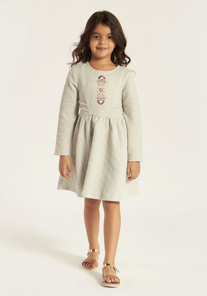 Eligo Embroidered Dress with Long Sleeves and Zip Closure-Dresses%2C Gowns and Frocks-image-1