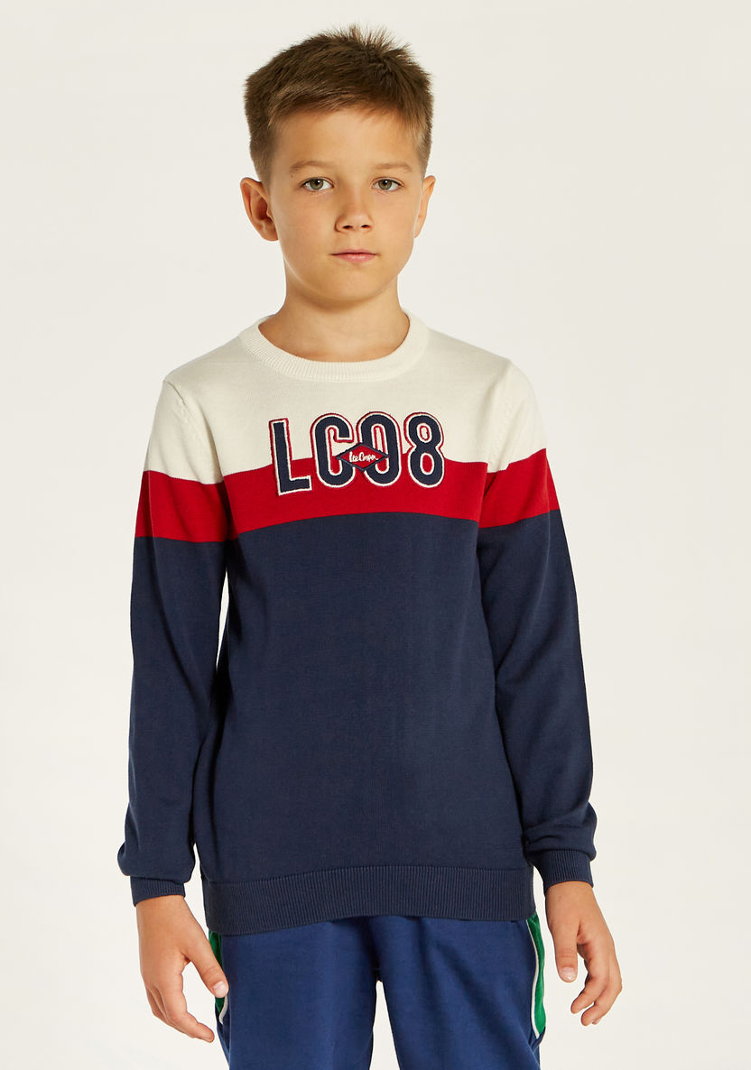 Lee Cooper Colourblock Sweater with Crew Neck and Long Sleeves-Sweaters and Cardigans-image-1