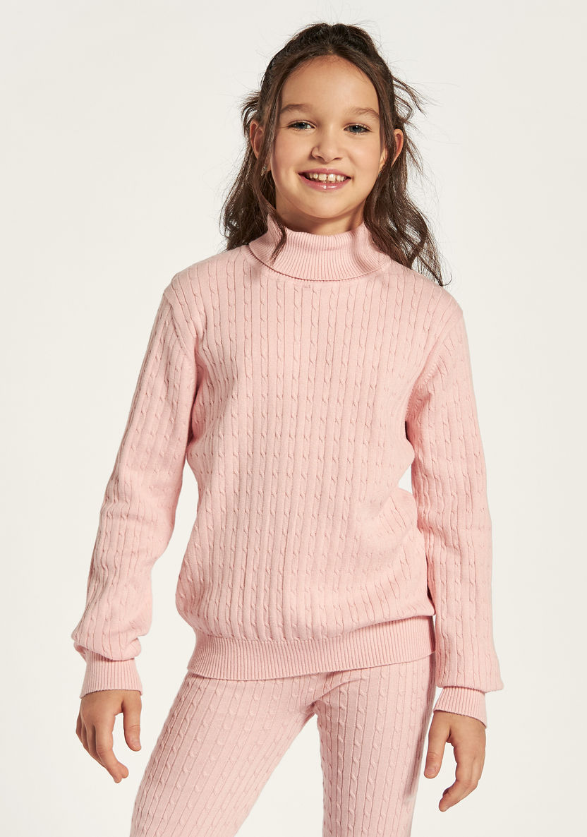 Juniors Textured Polo Neck Sweater with Long Sleeves-Sweaters and Cardigans-image-1