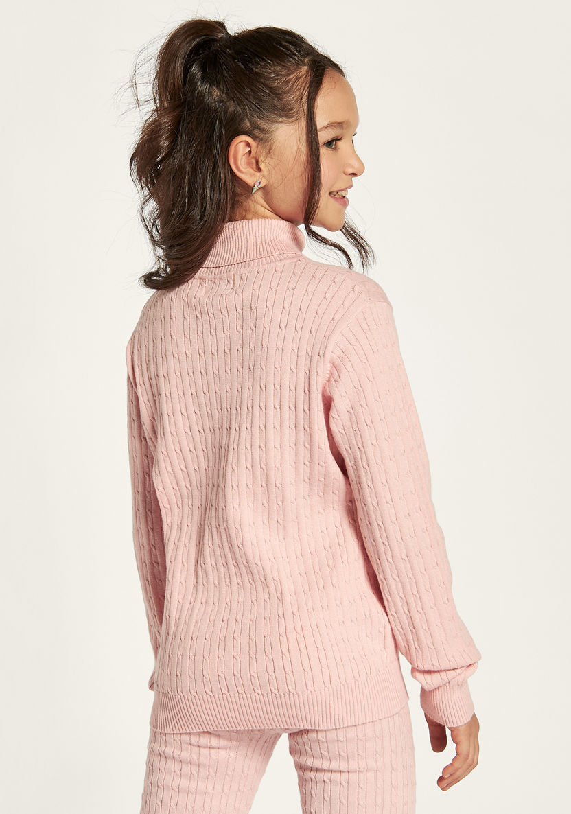 Juniors Textured Polo Neck Sweater with Long Sleeves-Sweaters and Cardigans-image-3