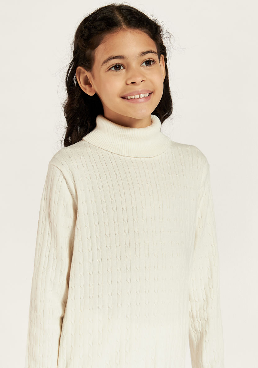 Juniors Textured Turtle Neck Sweater with Long Sleeves-Sweaters and Cardigans-image-2