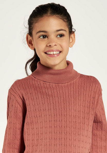 Juniors Textured Pullover with Turtle Neck and Long Sleeves