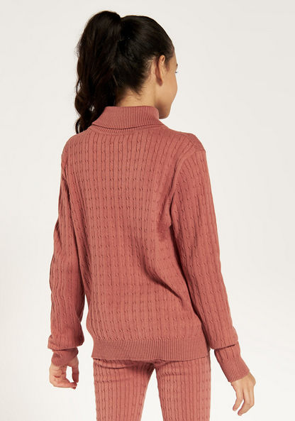 Juniors Textured Pullover with Turtle Neck and Long Sleeves-Sweaters and Cardigans-image-3