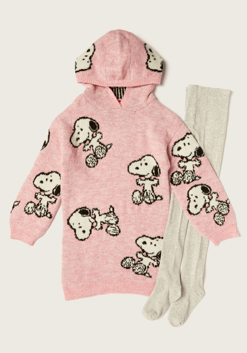Snoopy Dog Textured Hooded Pullover and Stockings Set-Dresses, Gowns & Frocks-image-0