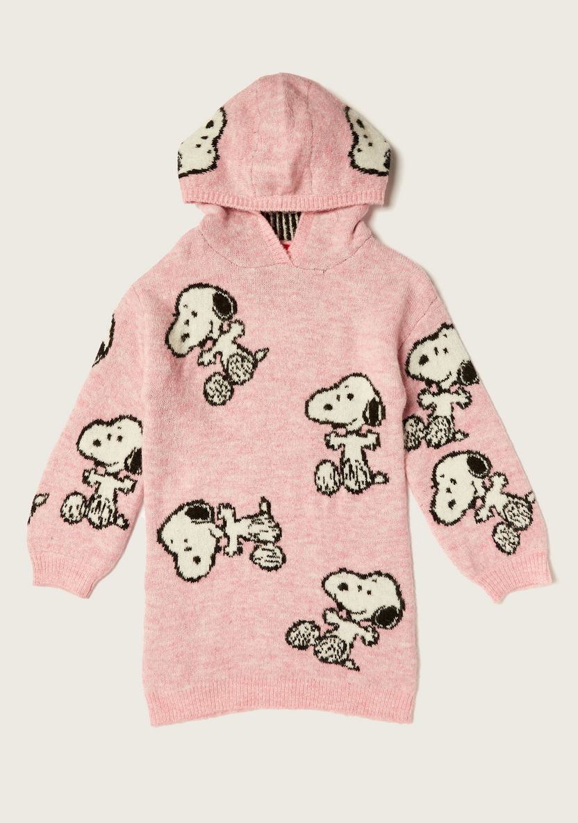 Snoopy Dog Textured Hooded Pullover and Stockings Set-Dresses, Gowns & Frocks-image-1