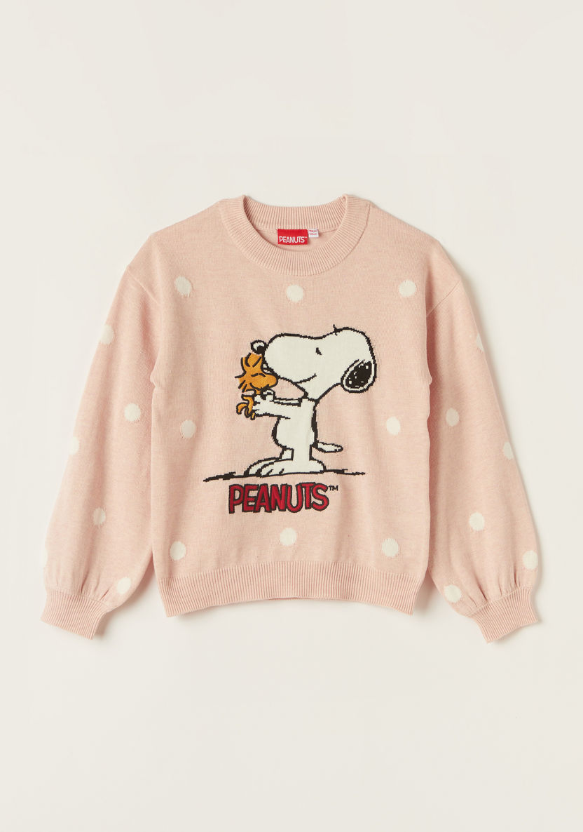 Peanuts Print Crew Neck Sweatshirt with Long Sleeves-Sweaters and Cardigans-image-0