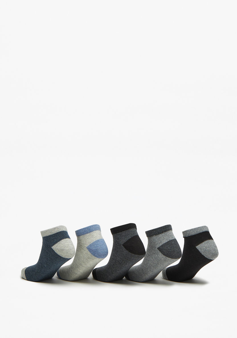 Juniors Panelled Ankle Length Socks - Set of 5-Boy%27s Socks-image-2