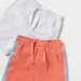 Juniors Assorted Shorts - Set of 2-Shorts-thumbnail-3