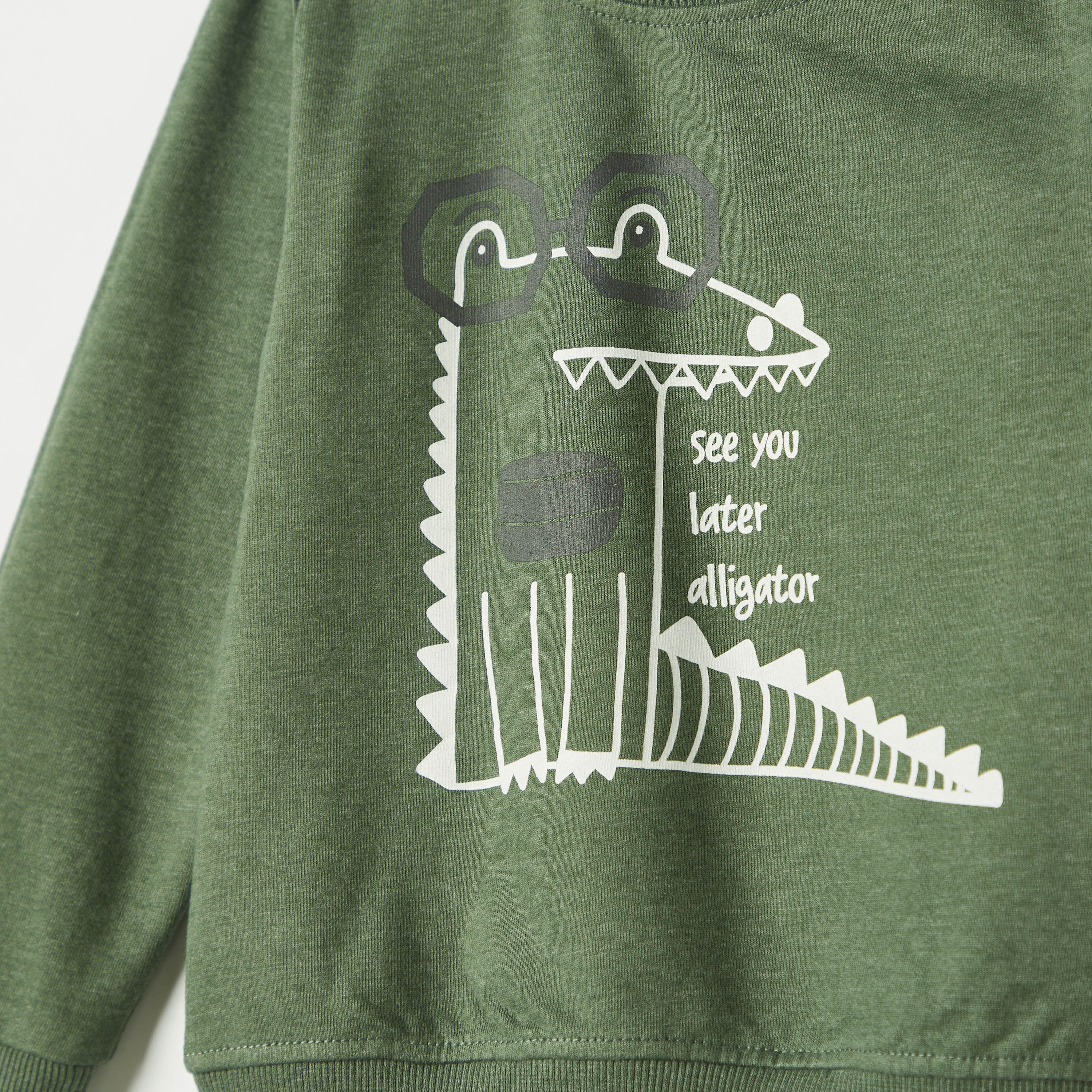 Juniors Alligator Print Pullover with Crew Neck and Long Sleeves-baby-boys-clothing-winterwear-sweatshirts-image-3