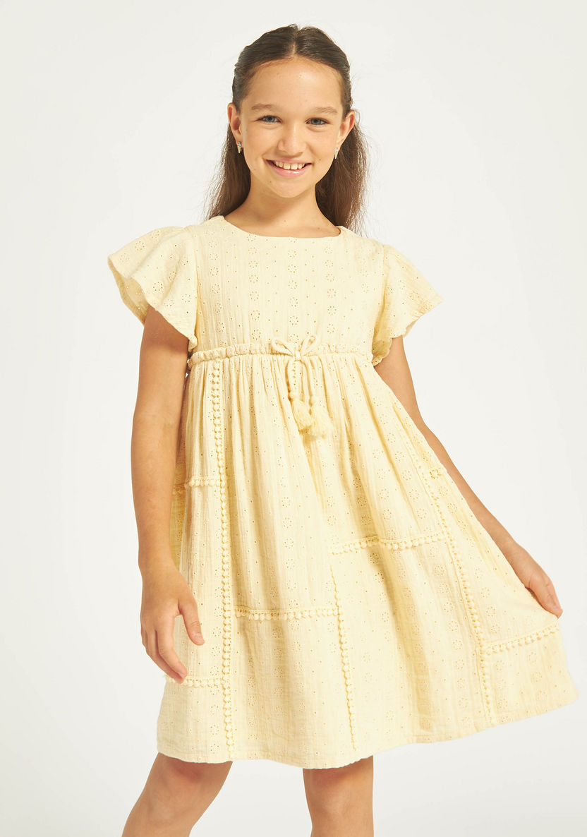 Eligo All-Over Schiffli Textured A-line Dress with Pom-Pom Lace-Dresses%2C Gowns and Frocks-image-0