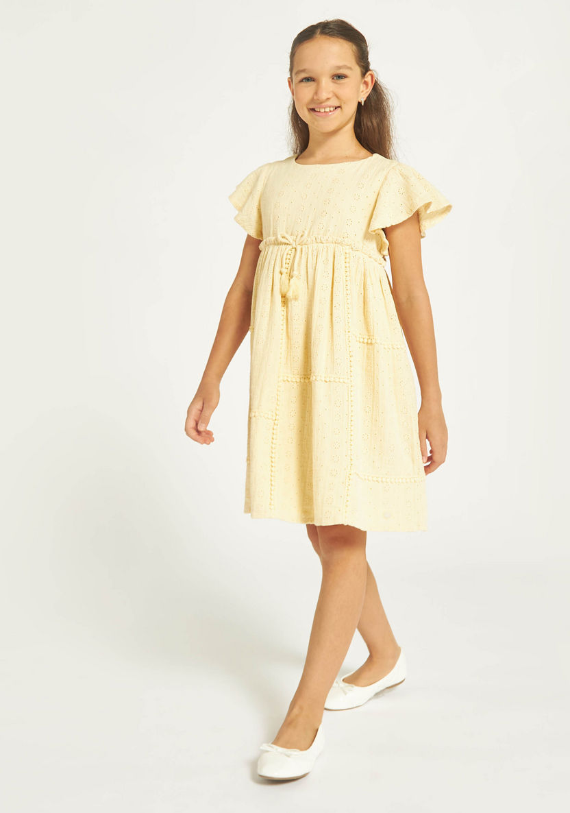 Eligo All-Over Schiffli Textured A-line Dress with Pom-Pom Lace-Dresses%2C Gowns and Frocks-image-1