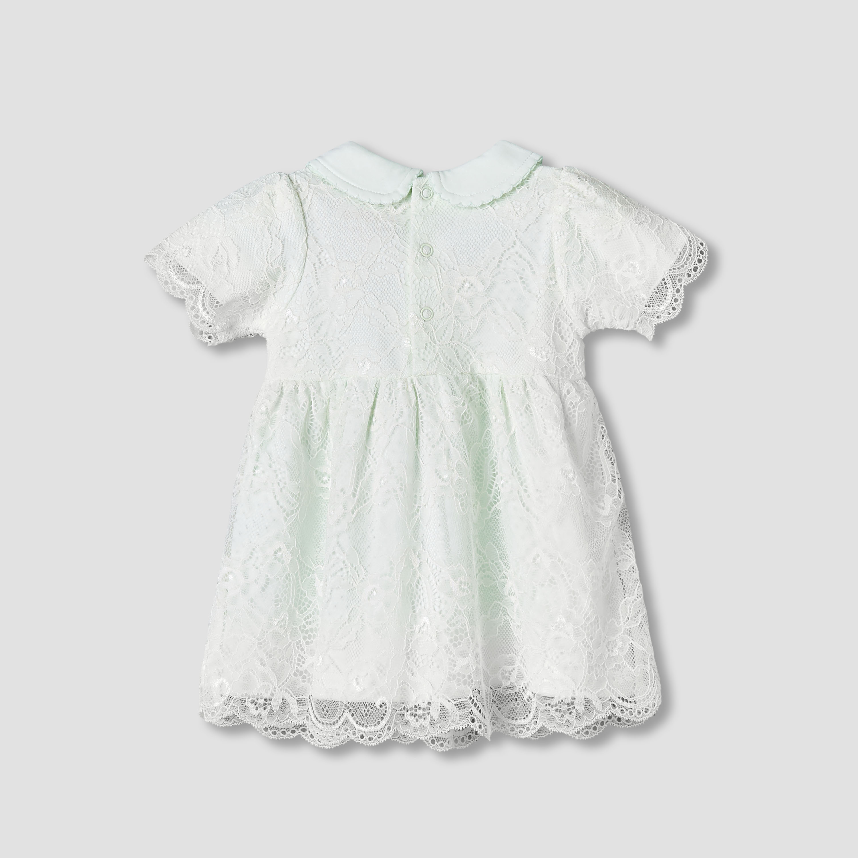Giggles Peter Pan Collar Short Sleeves A-Line Dress with Lace Detail-baby-girls-clothing-dressesandjumpsuits-image-3