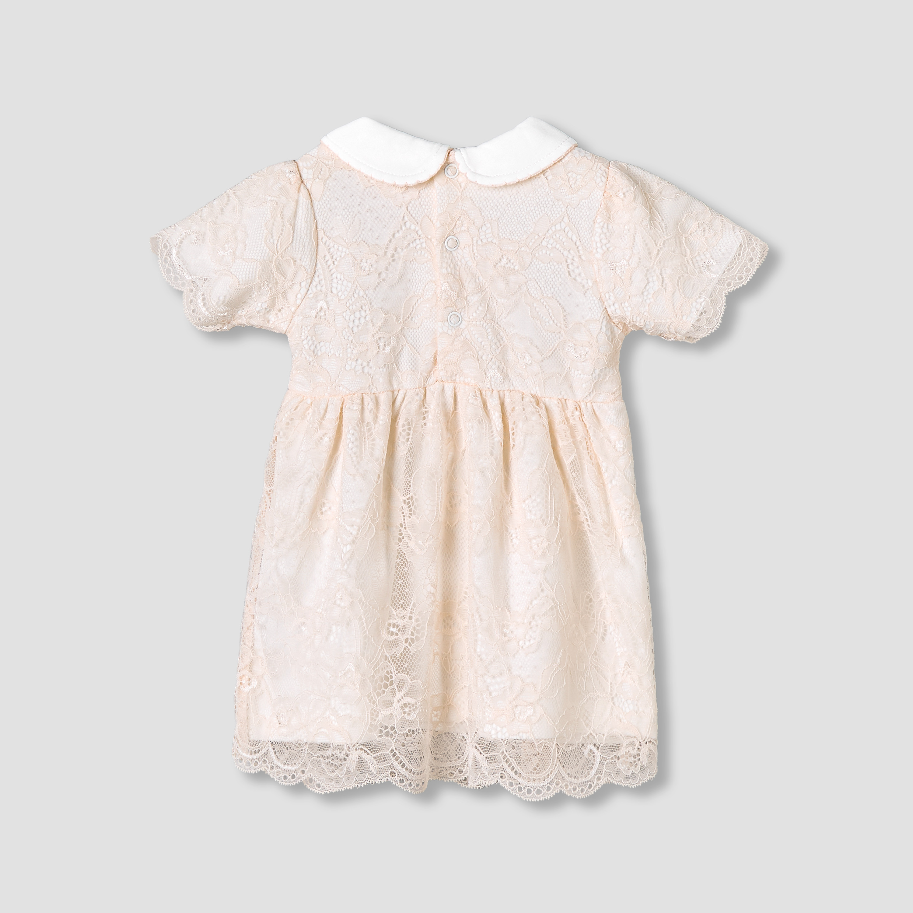 Giggles Peter Pan Collar Short Sleeves A-Line Dress with Lace Detail-baby-girls-clothing-dressesandjumpsuits-image-3