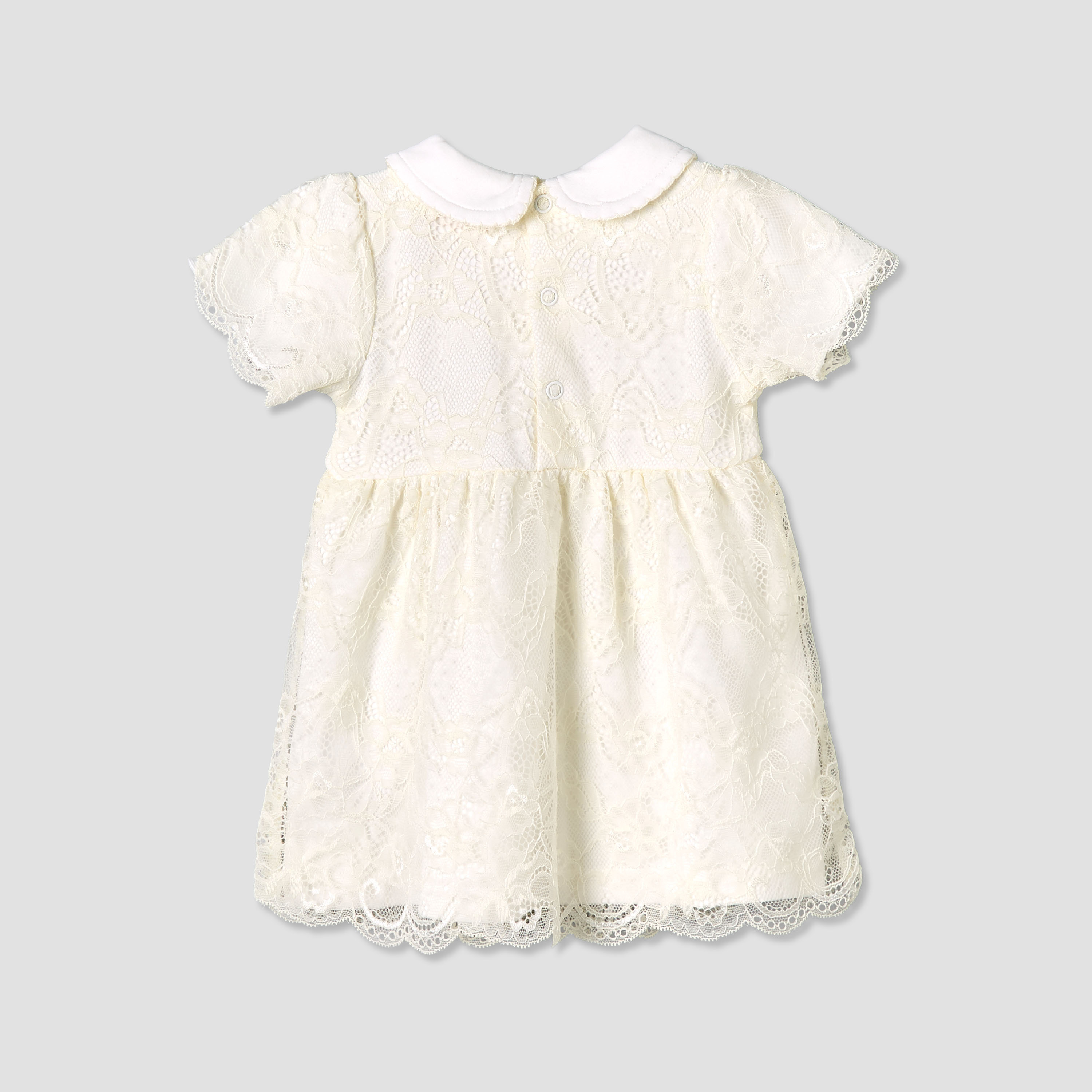 Giggles Peter Pan Collar Short Sleeves A-line Dress with Lace Detail-baby-girls-clothing-dressesandjumpsuits-image-3
