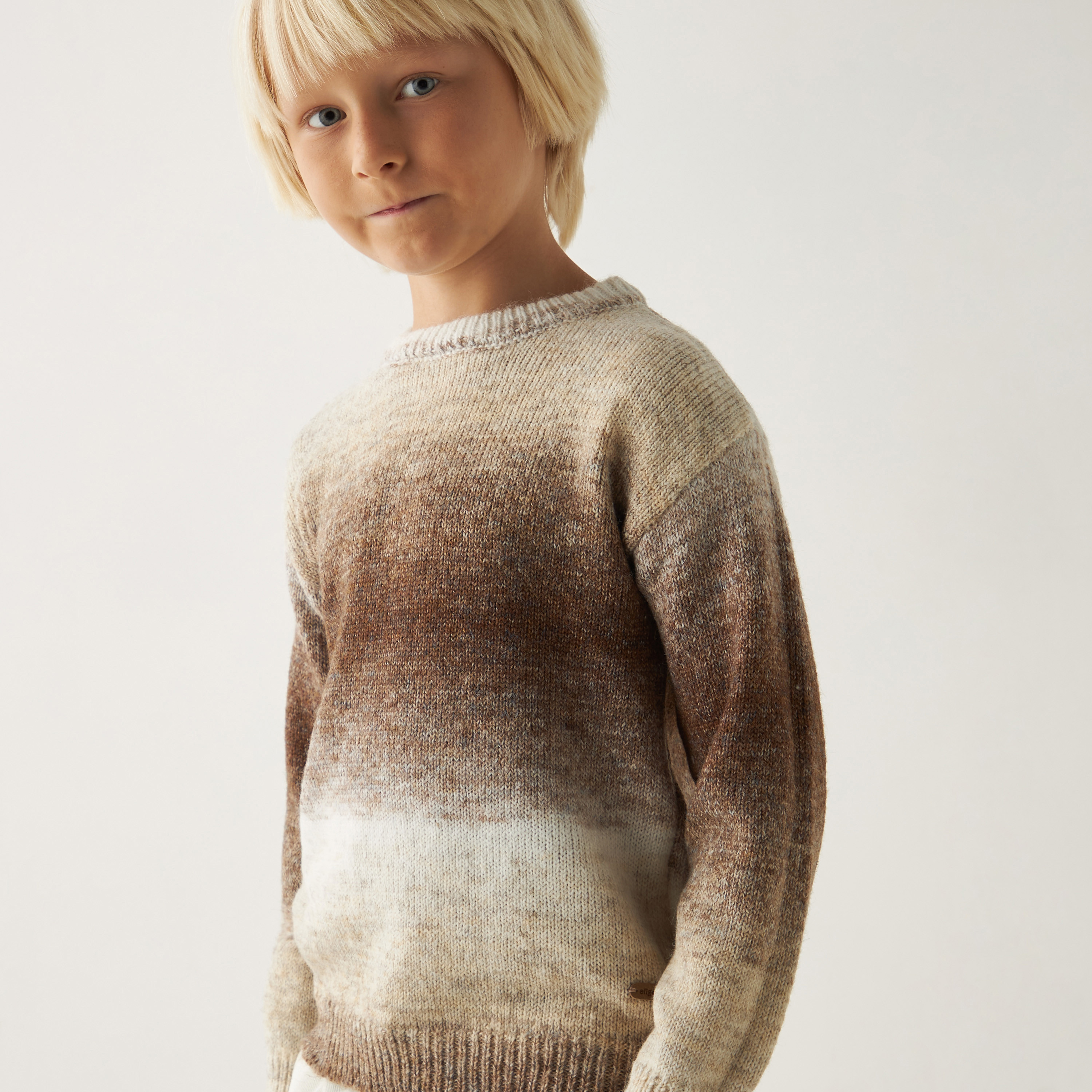 بلوفر أومبري بياقة ضيقة وأكمام طويلة من إليجو-boys-clothing-jumpersandcardigans-image-3