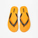 Lee Cooper Men's Flip Flops-Men%27s Flip Flops & Beach Slippers-thumbnailMobile-0