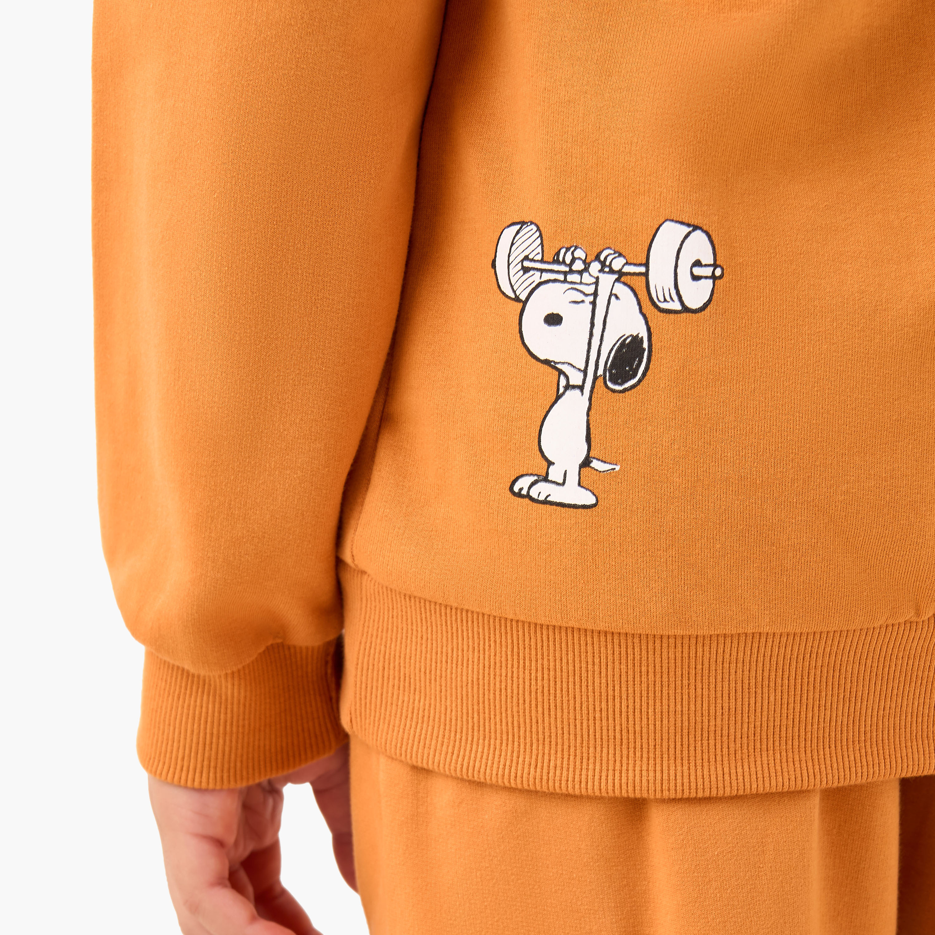 Boys Sweatshirt and Joggers Set with Snoopy Print - Cotton - Long Sleeves - Hood-boys-clothing-setsandcoords-image-7
