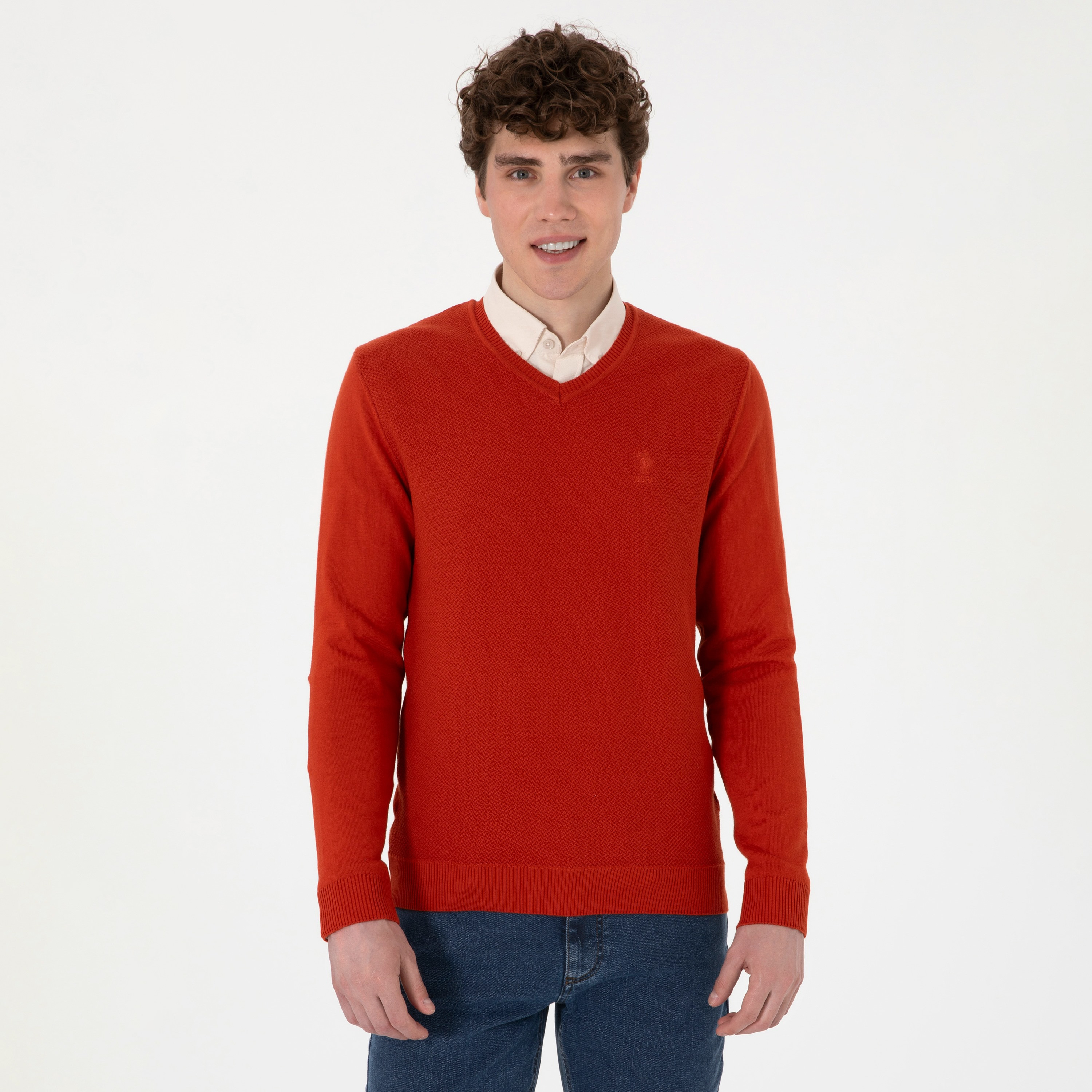 U.S. Polo Assn Textured V-Neck Long Sleeves Men's Sweater-men-clothing-sweatersandpullovers-image-1