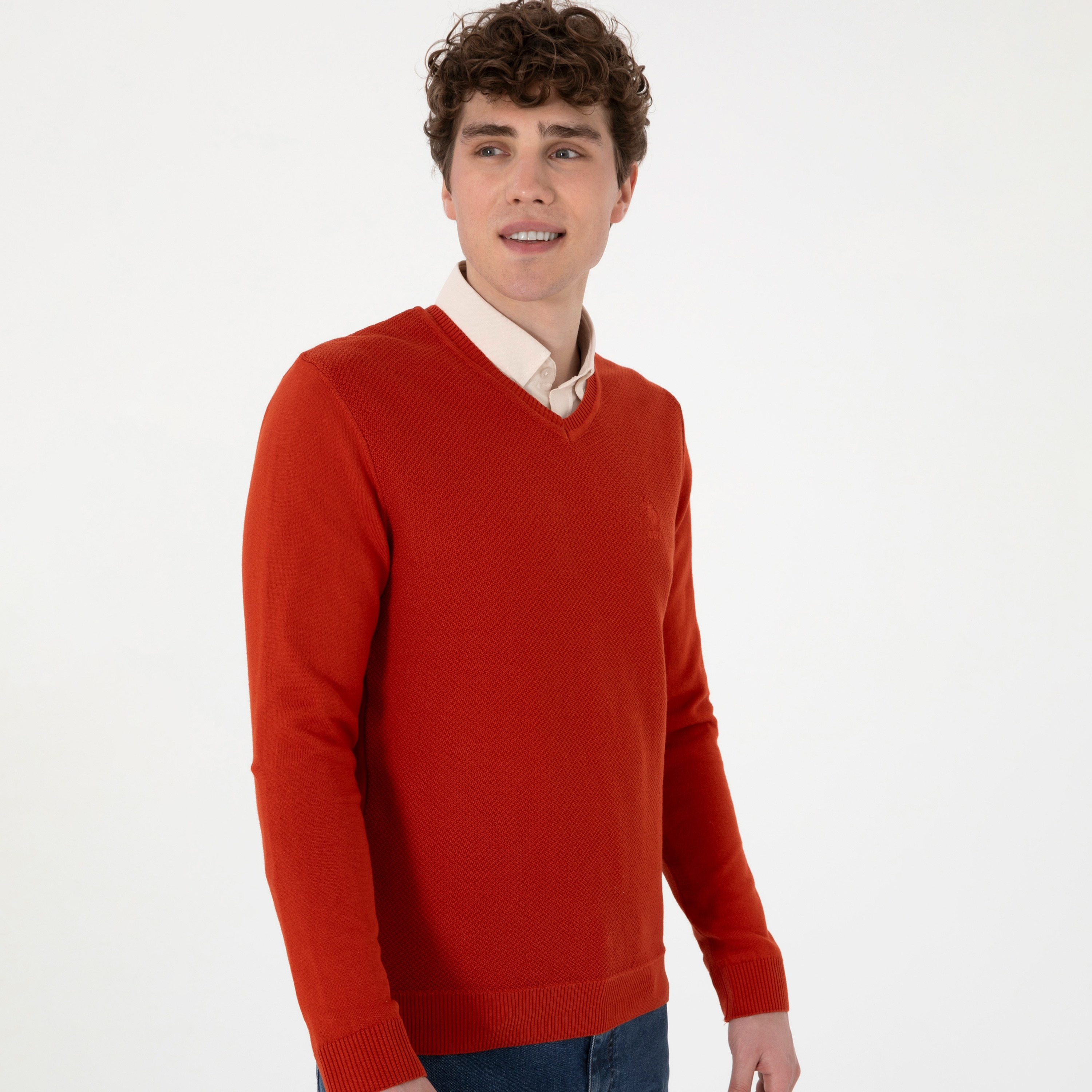 U.S. Polo Assn Textured V-Neck Long Sleeves Men's Sweater-men-clothing-sweatersandpullovers-image-12