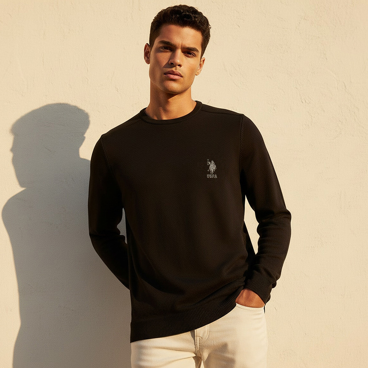 كنزة رجالية برقبة دائرية وأكمام طويلة سادة من يو إس بولو أسسن-men-clothing-sweatersandpullovers-image-1
