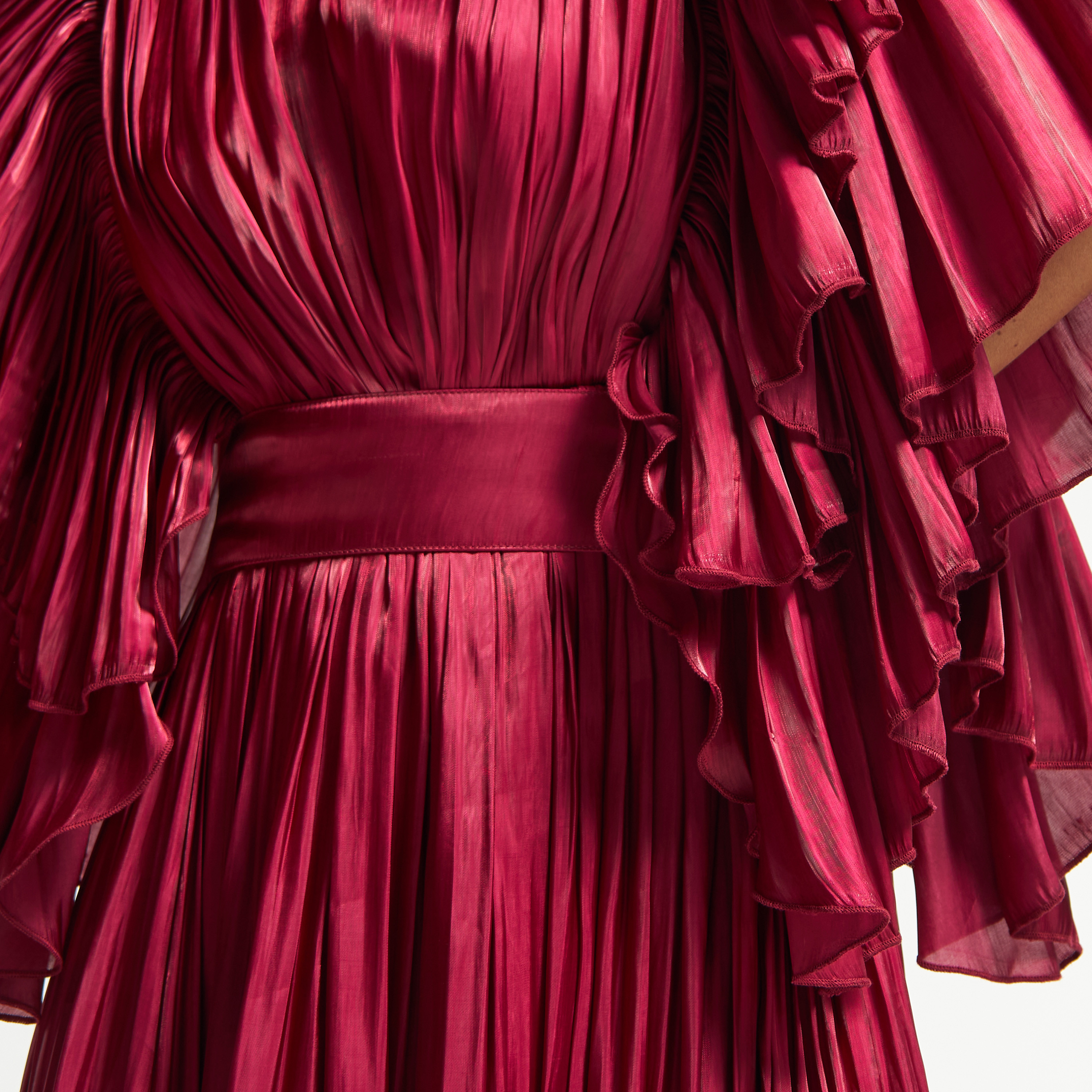 Amri Pleated Maxi Dress with Ruffle Detailed Sleeves and Zip Closure-women-clothing-dresses-image-5