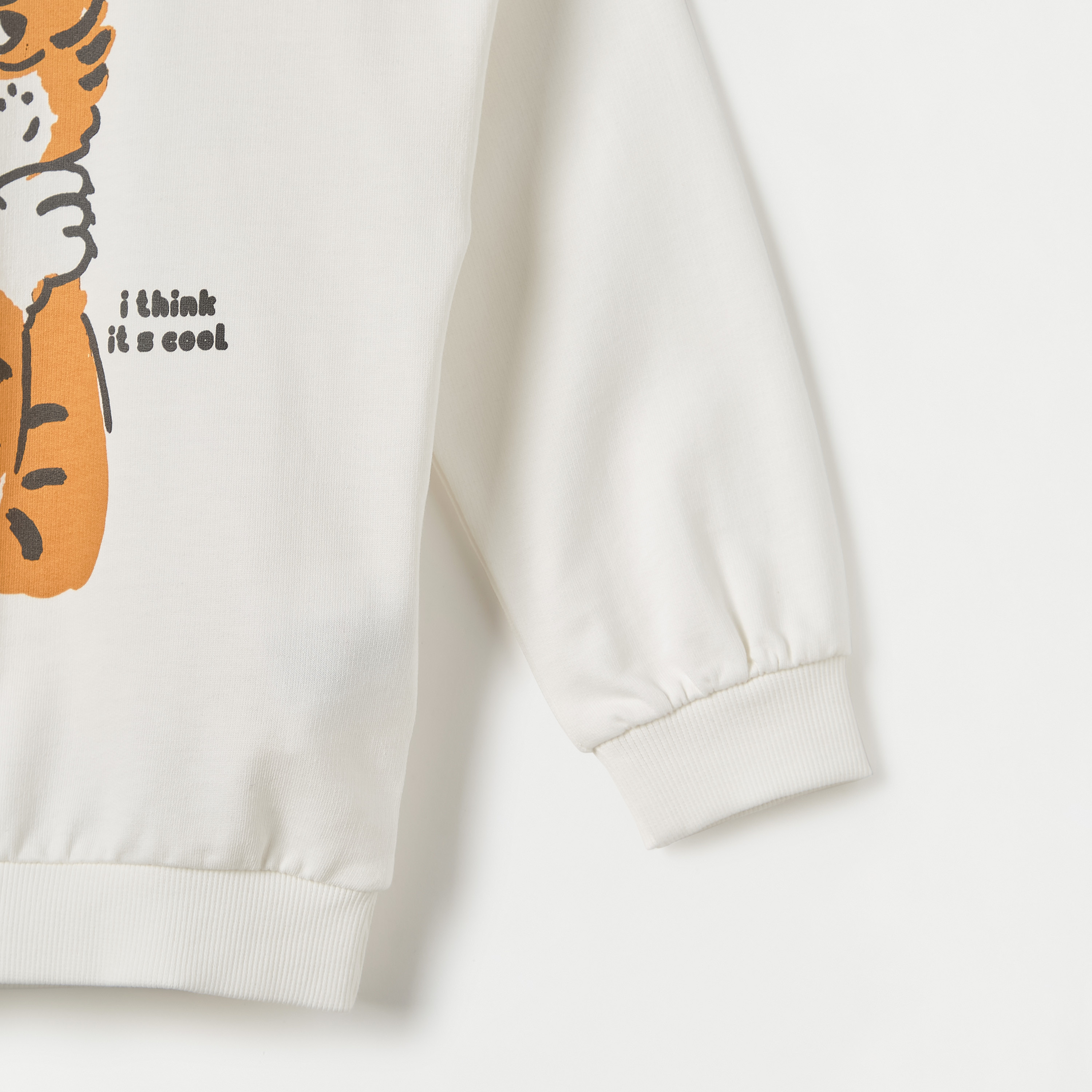 Juniors Tiger Print Pullover Sweatshirt with Long Sleeves-baby-boys-clothing-winterwear-sweatshirts-image-4