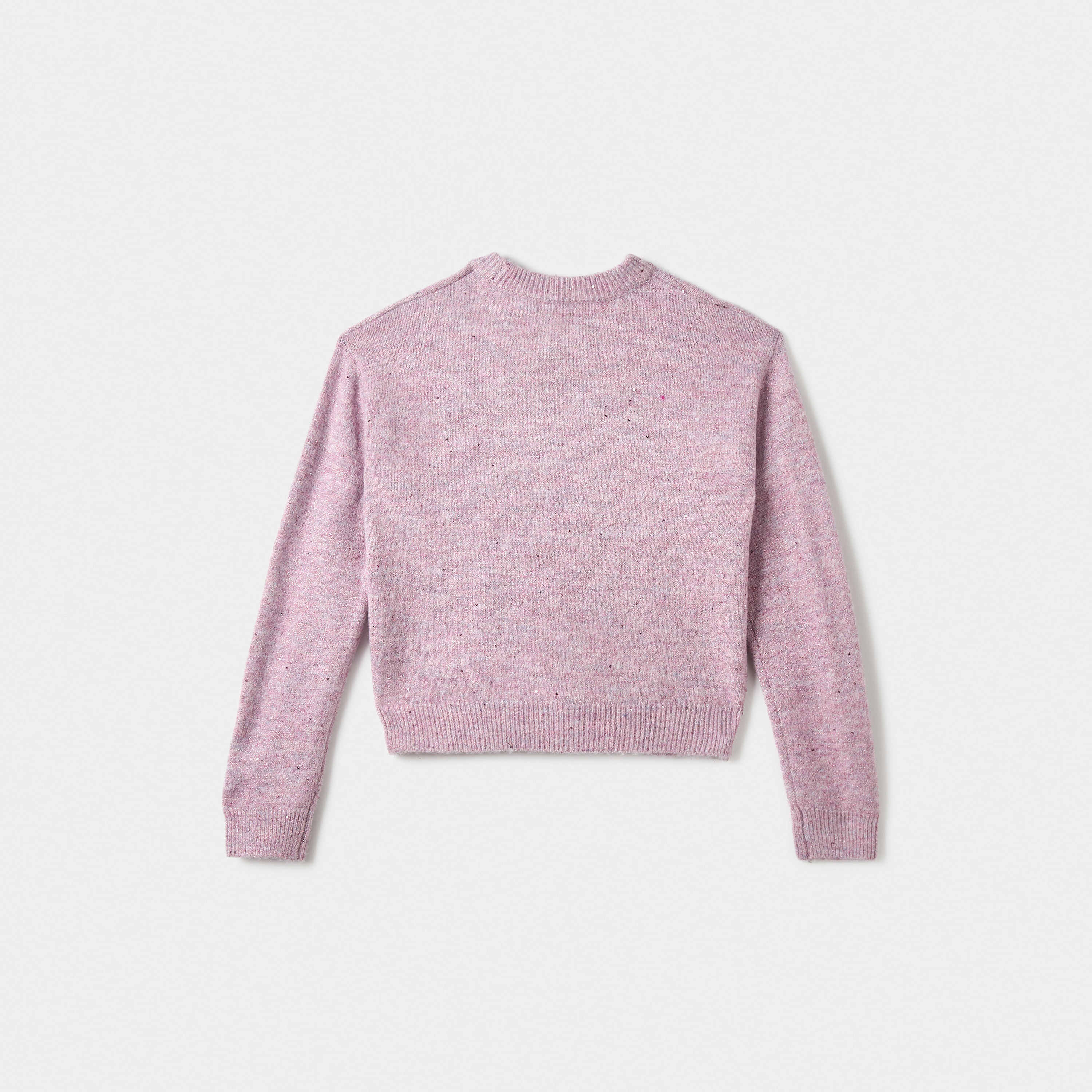 Juniors Textured Sweater with Long Sleeves and Crew Neck-girls-clothing-winterwear-jumpersandcardigans-image-2