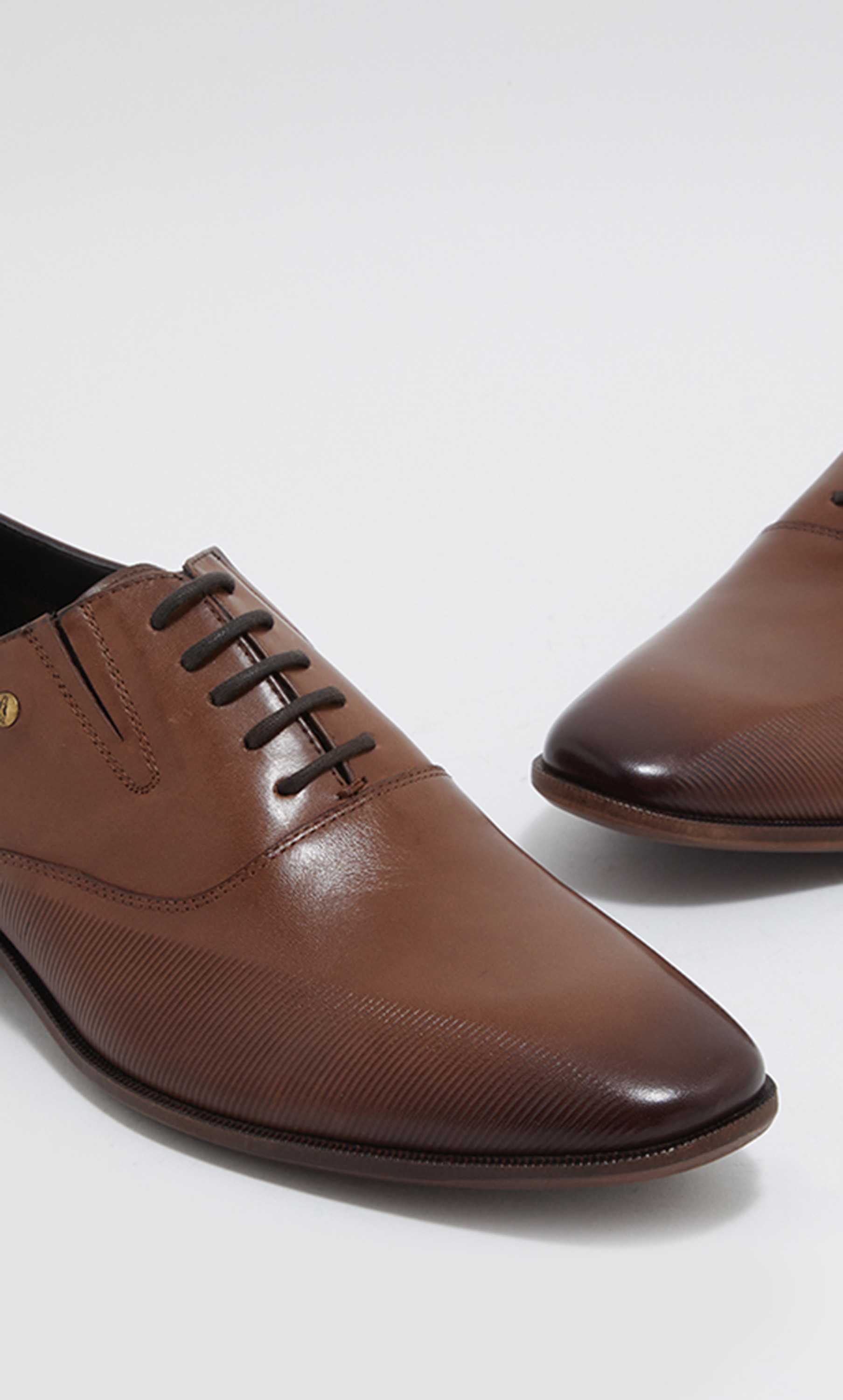  HP02092-210 حذاء تشيستر أكسفورد  للرجال  من هاش بابيز-men-shoes-formalshoes-image-4