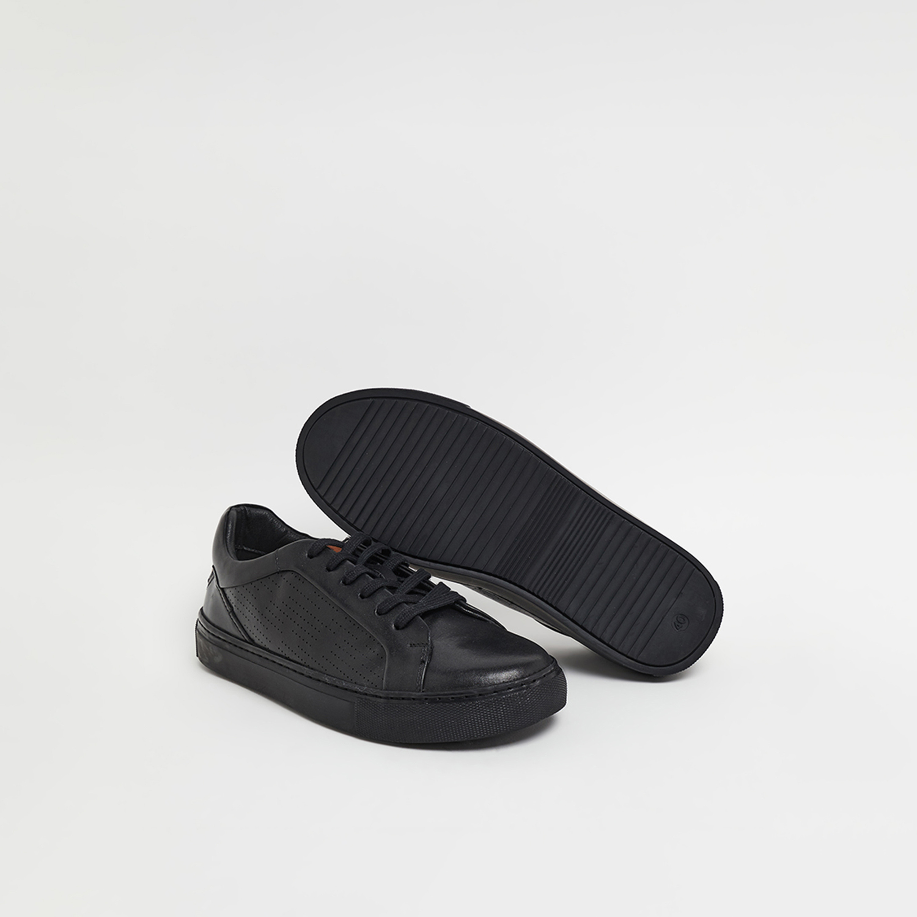 أحذية سنيكرز رجالية برباط من هاش بابيز | HPM-STOCK3-men-shoes-sneakers-image-5