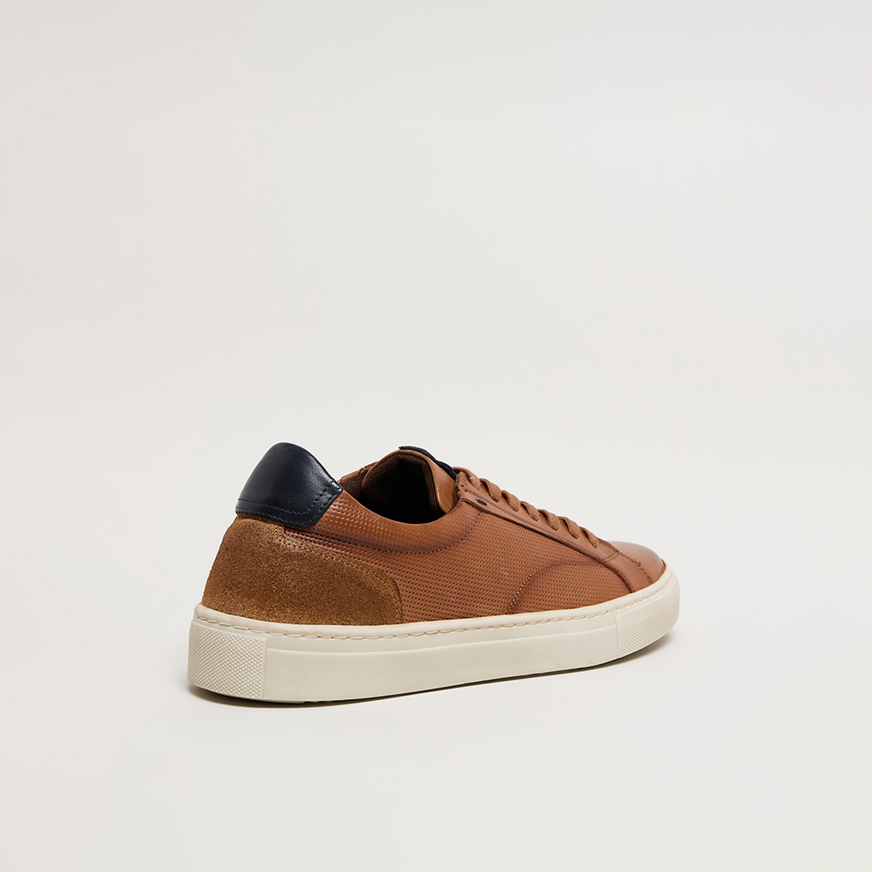 أحذية سنيكرز رجالية برباط من هاش بابيز | HPM-STOCKS1-men-shoes-sneakers-image-15