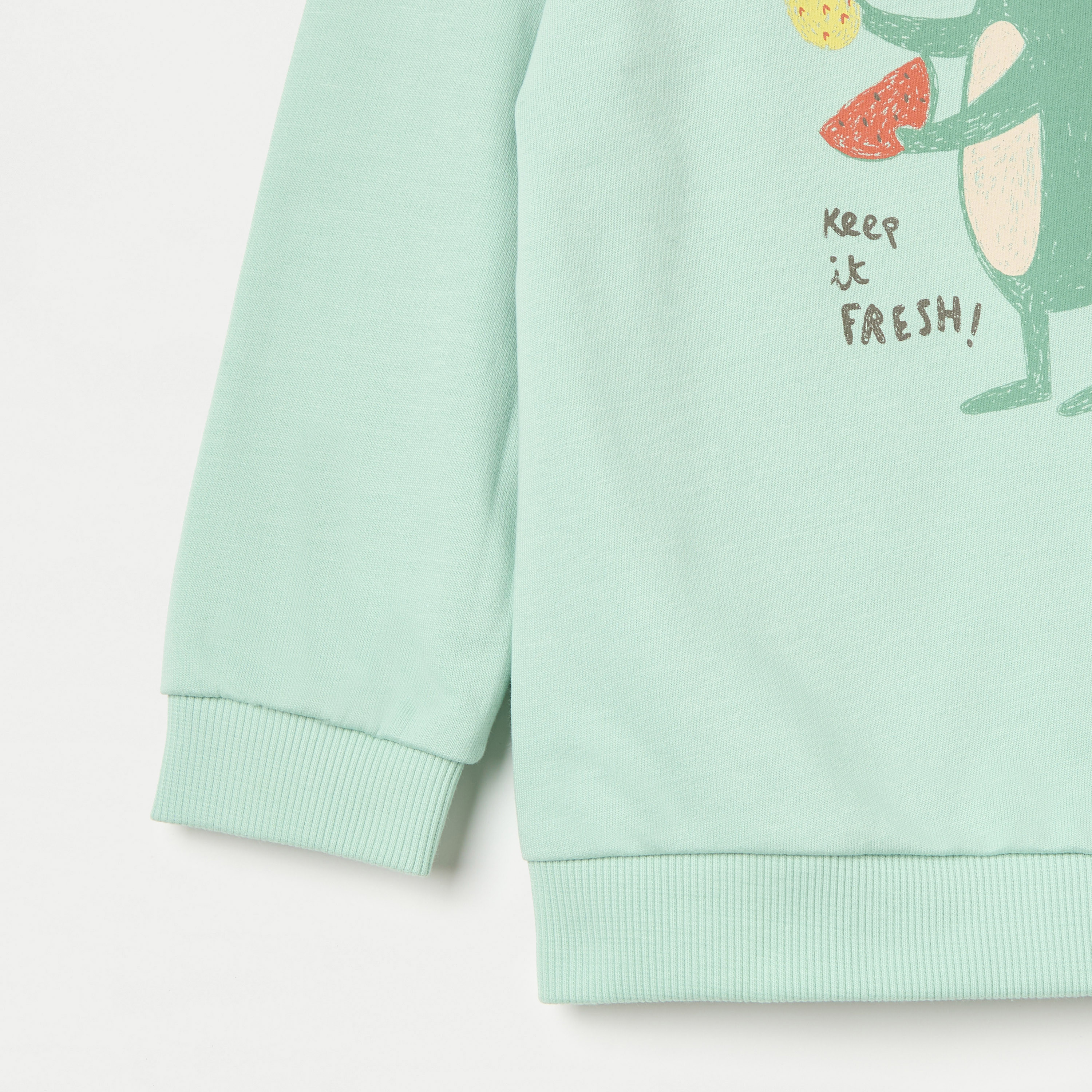 Juniors Printed Sweatshirt with Long Sleeves-baby-boys-clothing-sweatshirts-image-3