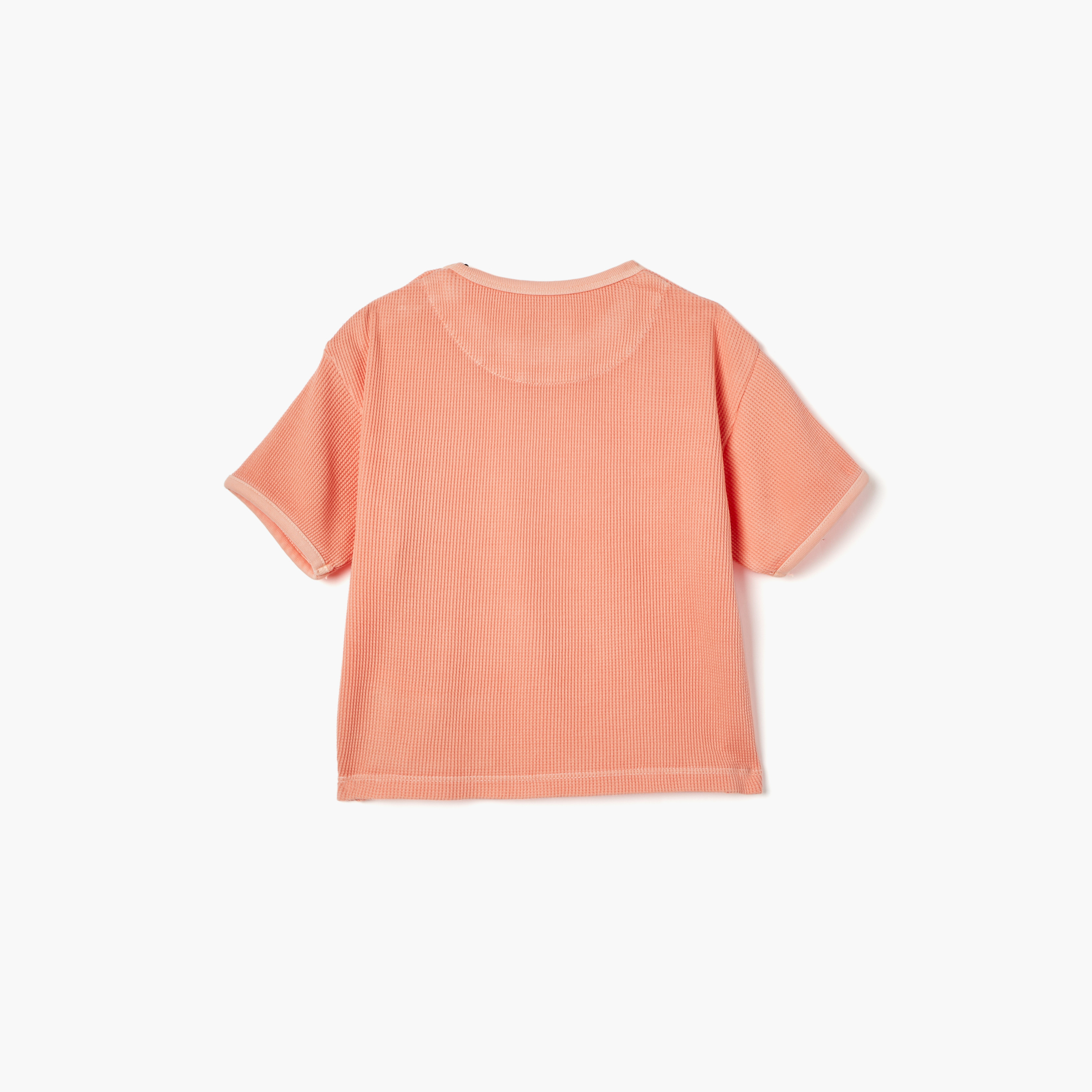 Lee Cooper Textured Crew Neck T-shirt with Short Sleeves and Button Closure-baby-boys-clothing-tshirtsandpolos-image-2