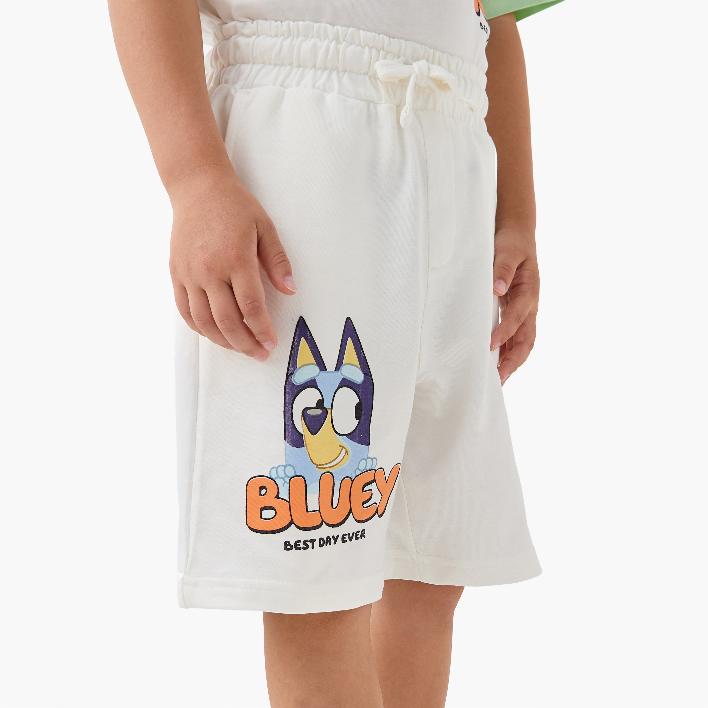 Bluey Printed T-shirt and Shorts Set-boys-clothing-setsandcoords-image-3