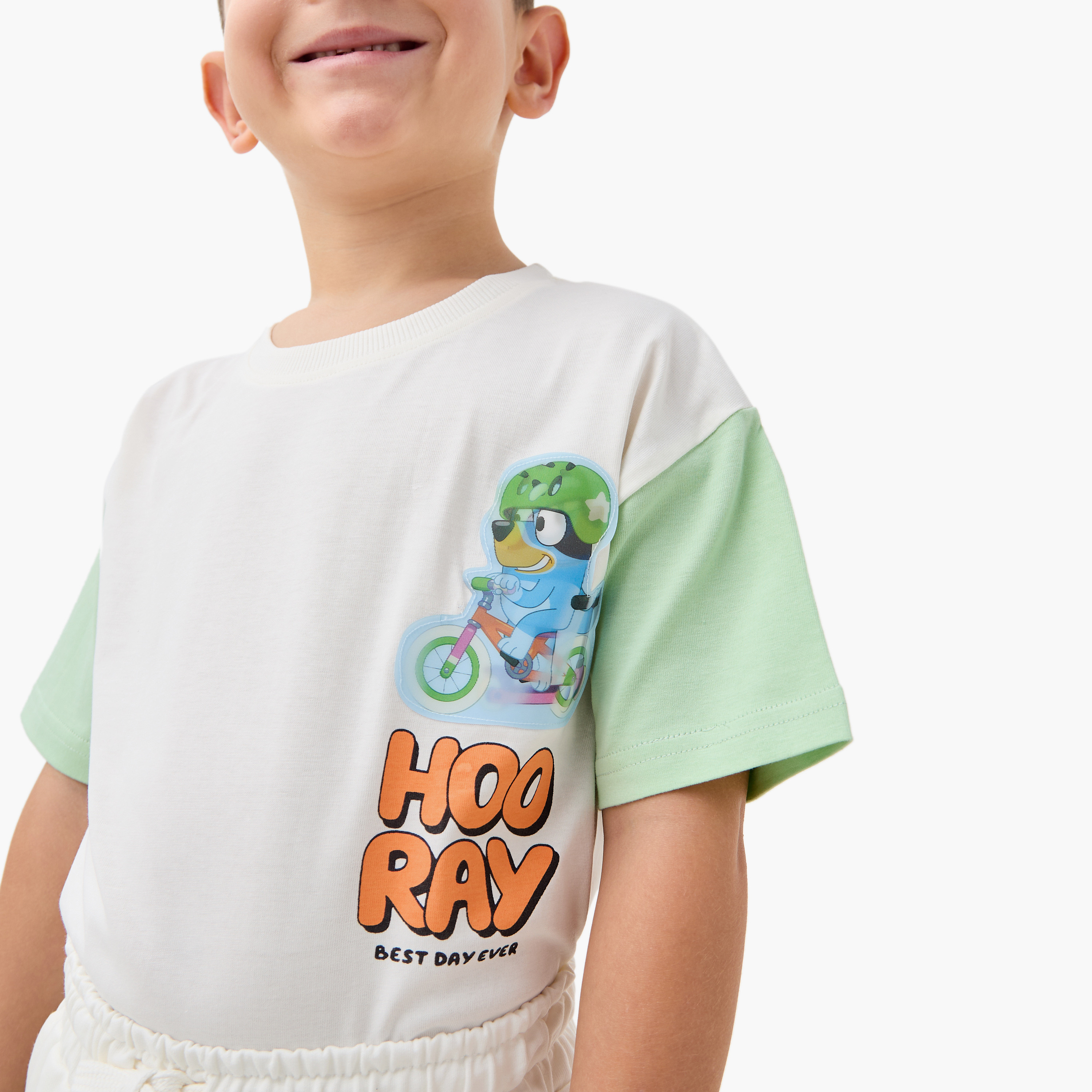 Bluey Printed T-shirt and Shorts Set-boys-clothing-setsandcoords-image-5