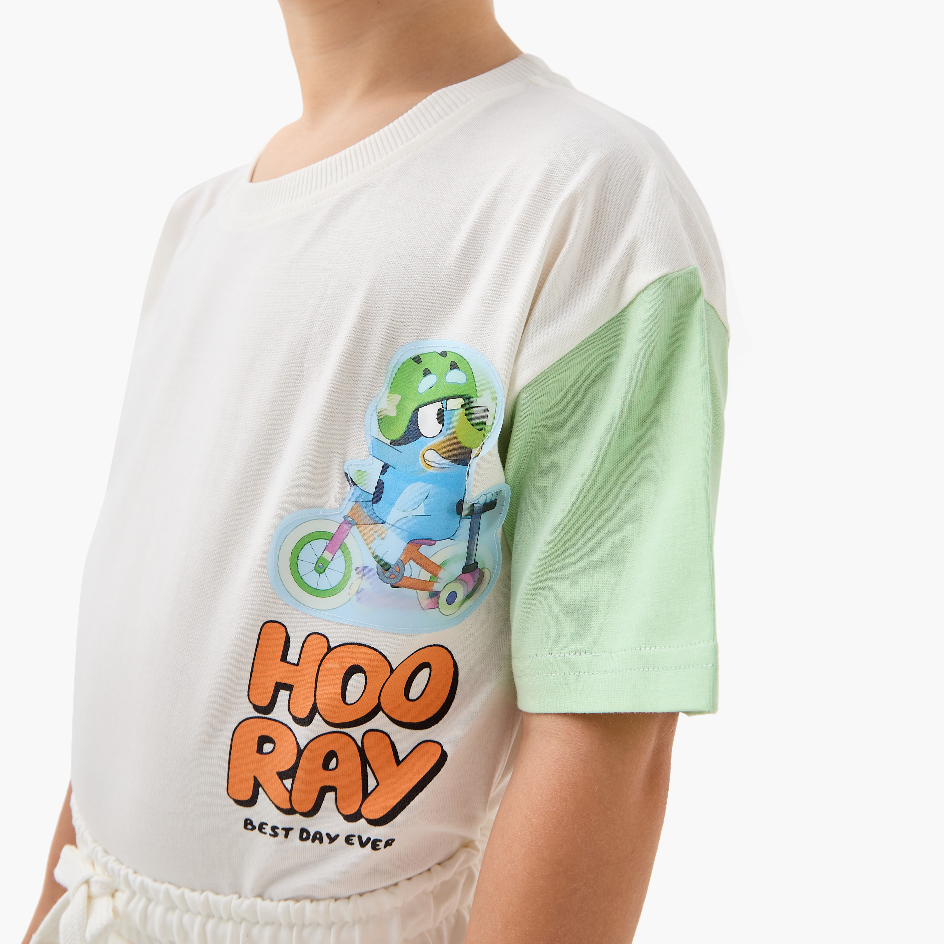 Bluey Printed T-shirt and Shorts Set-boys-clothing-setsandcoords-image-6