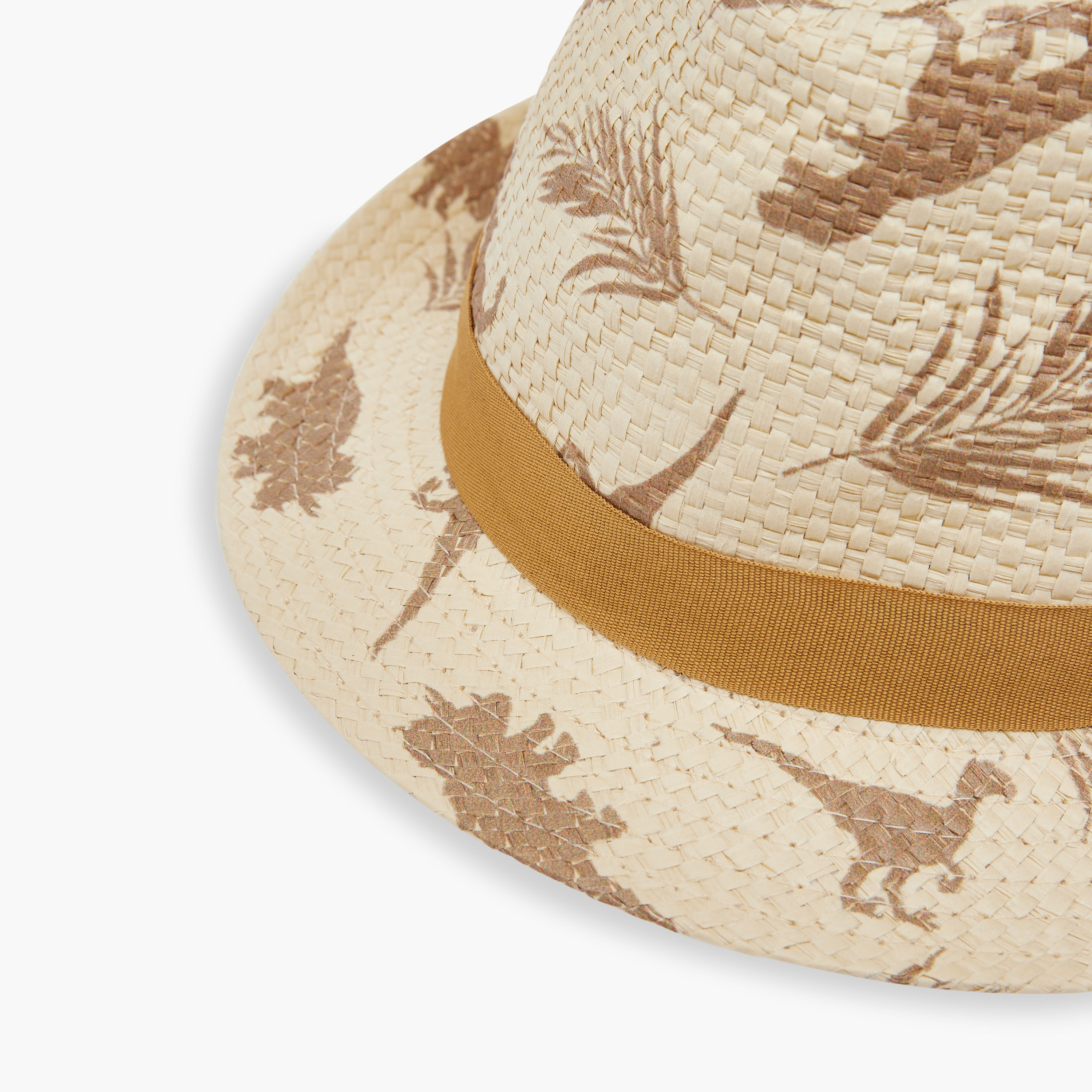 Juniors Dinosaur Print Hat-boys-accessories-caps-image-4